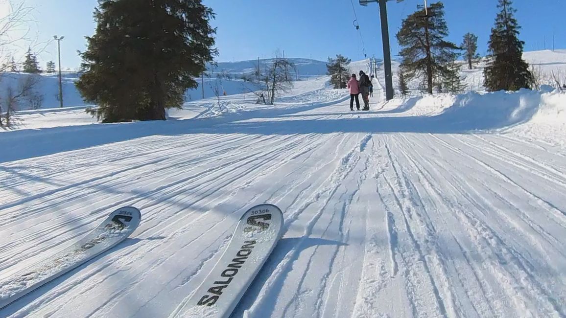 Tag 8 Snowmobiltour & Rentierschlittenfahrt in Levi
