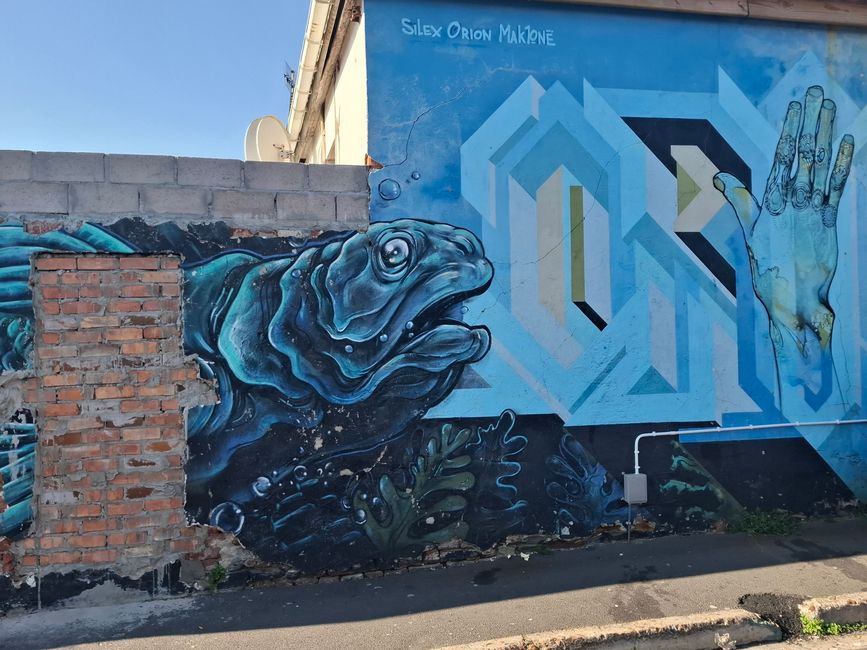 Descubrimiento del arte (y comida) de Salt River