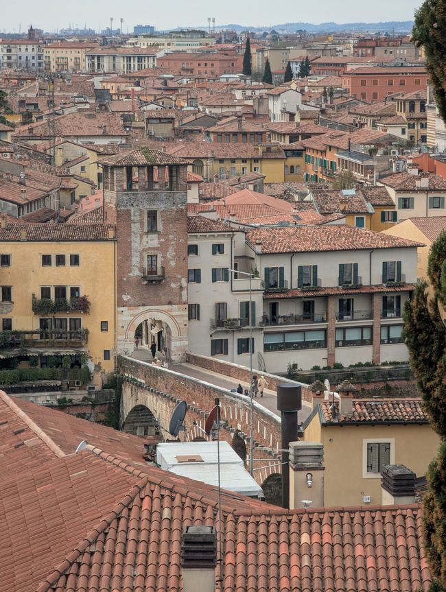 Verona 