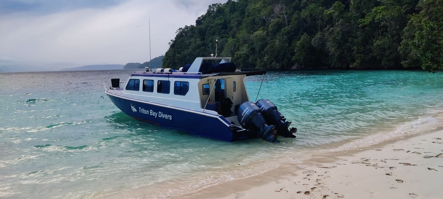 Travis ai Triton Bay Divers: Squali e altro
