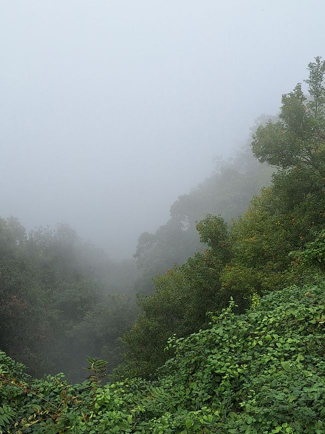 Der Nebel zieht auf