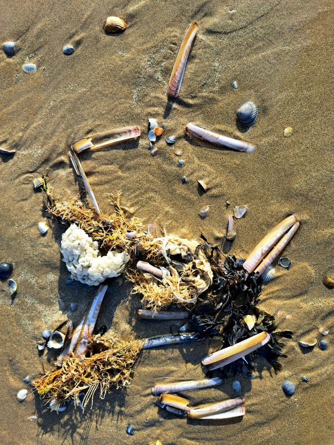 Strand-Gut-Kunst