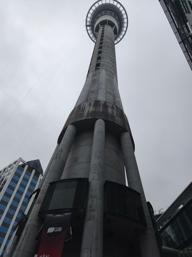 Sky Tower Auckland 