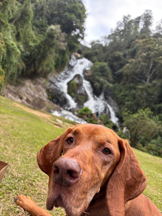 Nesecito fffftt fffftt fffftt