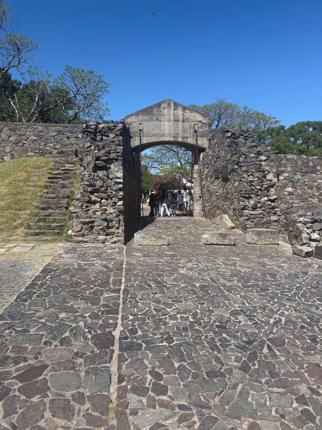 Etiqueta 12: Colón