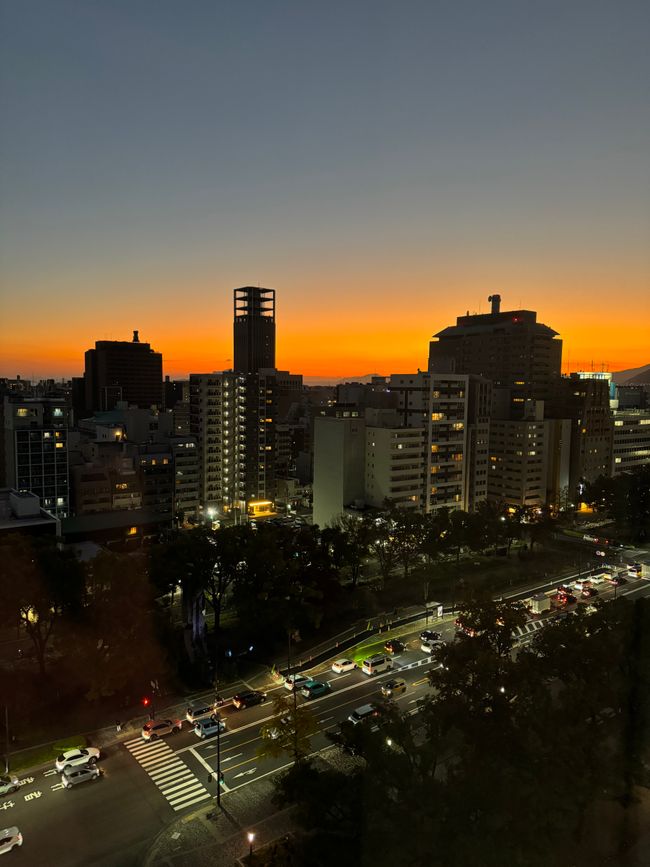 Tokyo & das Ende unserer gemeinsamen Zeit 