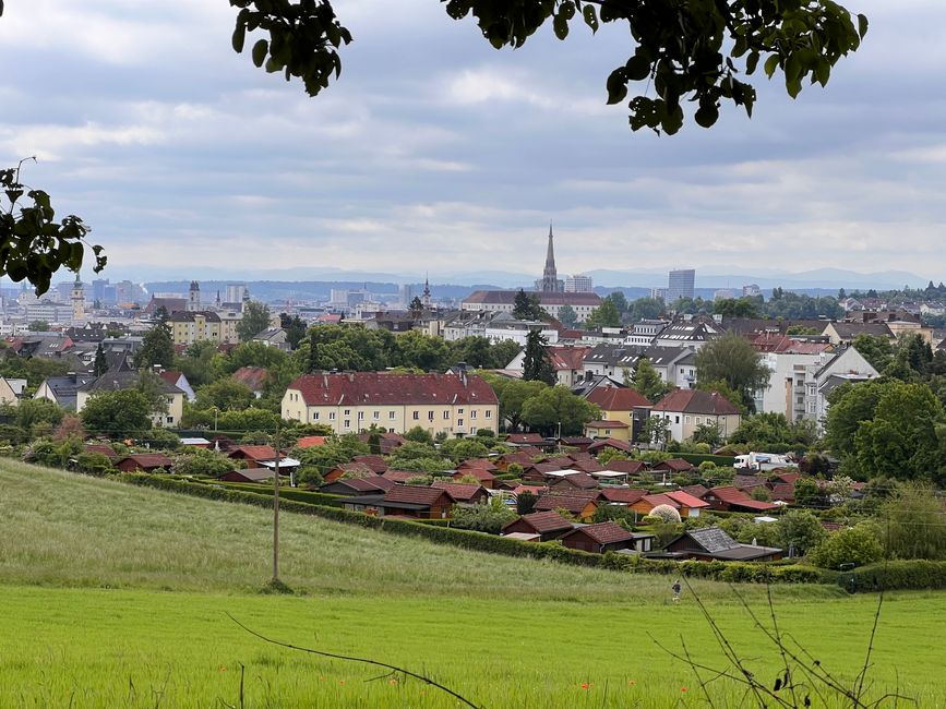 16a Ruhetag in Linz