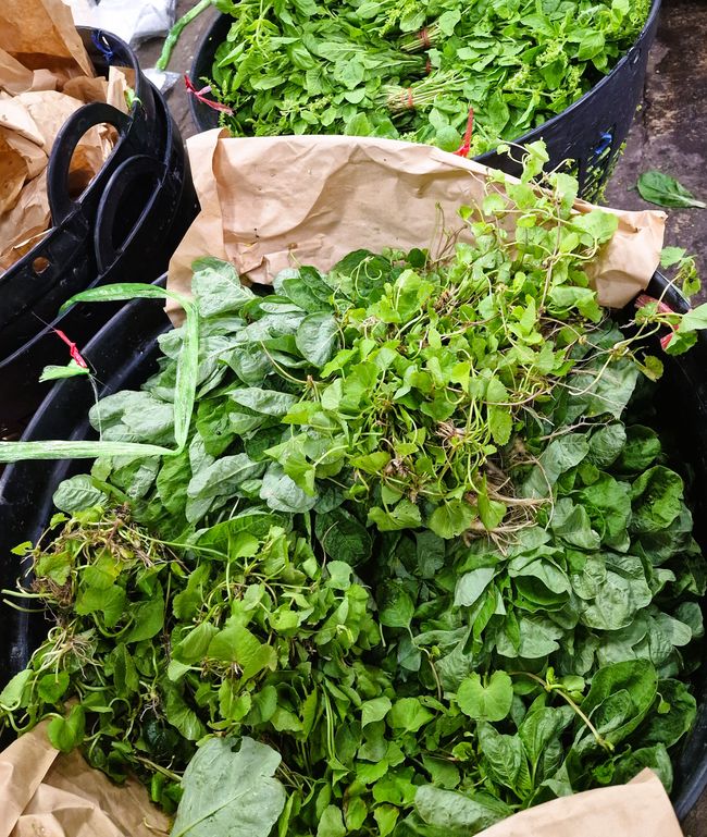 Nunca digas nunca más - Bangkok agridulce y nuestro camino a casa