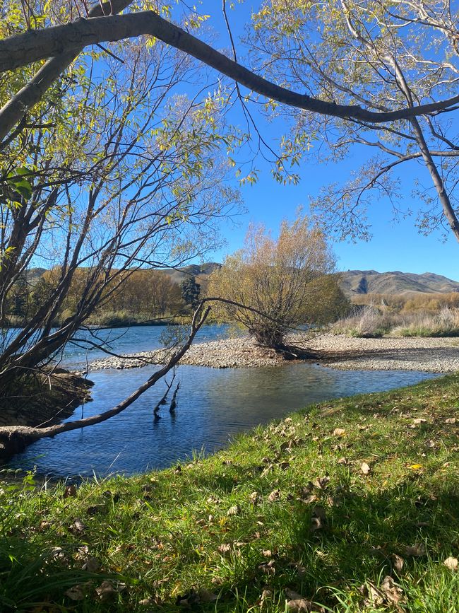 From Waimate to Twizel