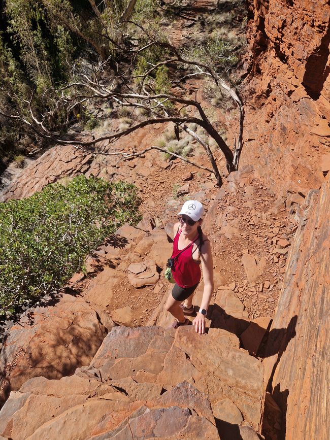 Abstieg in die Knox Schlucht