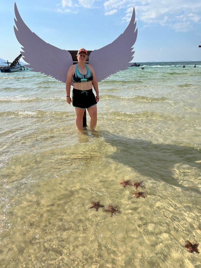 Tag 16 - Phu Quoc: Tierische Higloghts und glitzerndes Einhorn