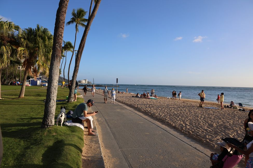 Addio alle Hawaii
