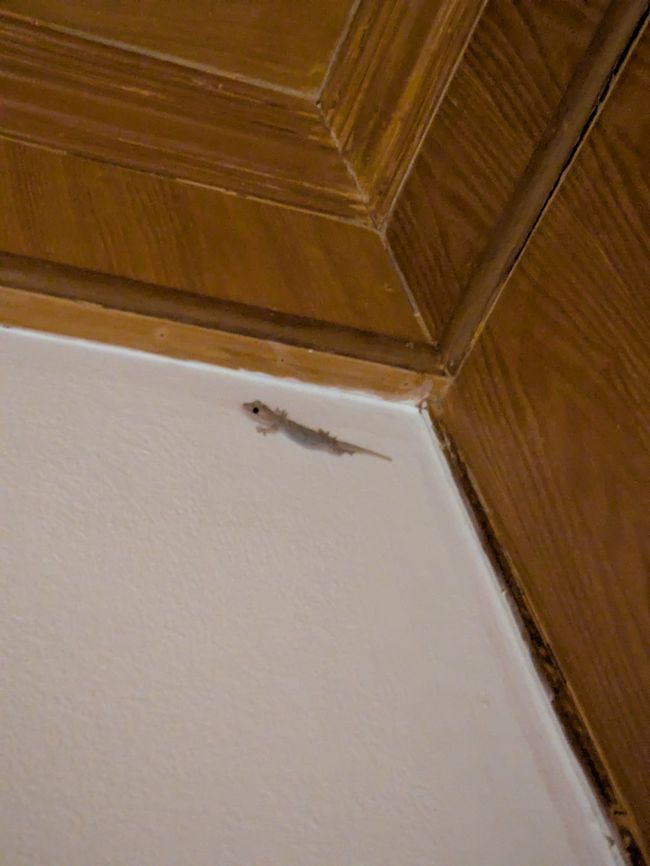 hoher Besuch