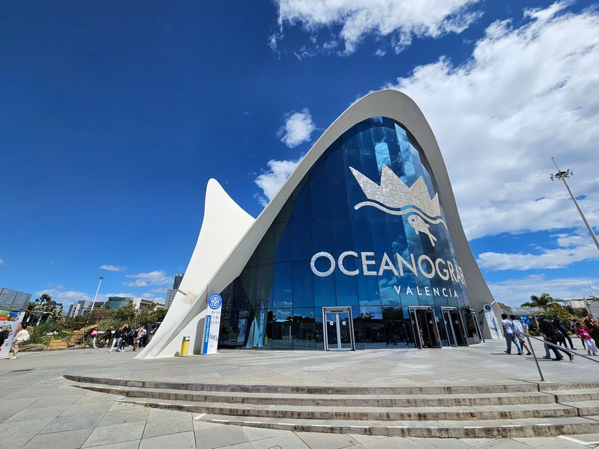 2025 - Aprile - Valencia - Oceanogràfic