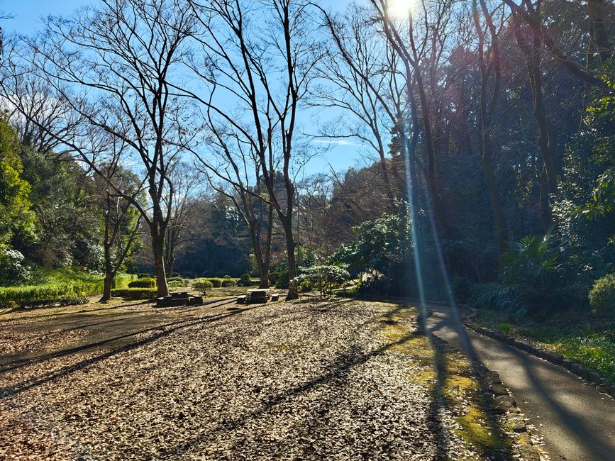 Impressionen aus dem Serigaya Park #2