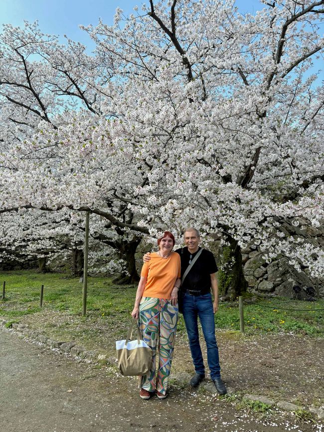 Fukuoka, 5 avril 2026
