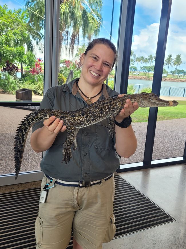 Day 102 of 175: Cruise around the world - Townsville/Australia