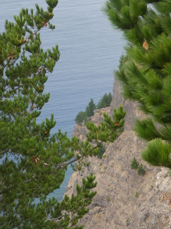 Robinson-Crusoe-Insel (Juan-Fernández-Inseln)