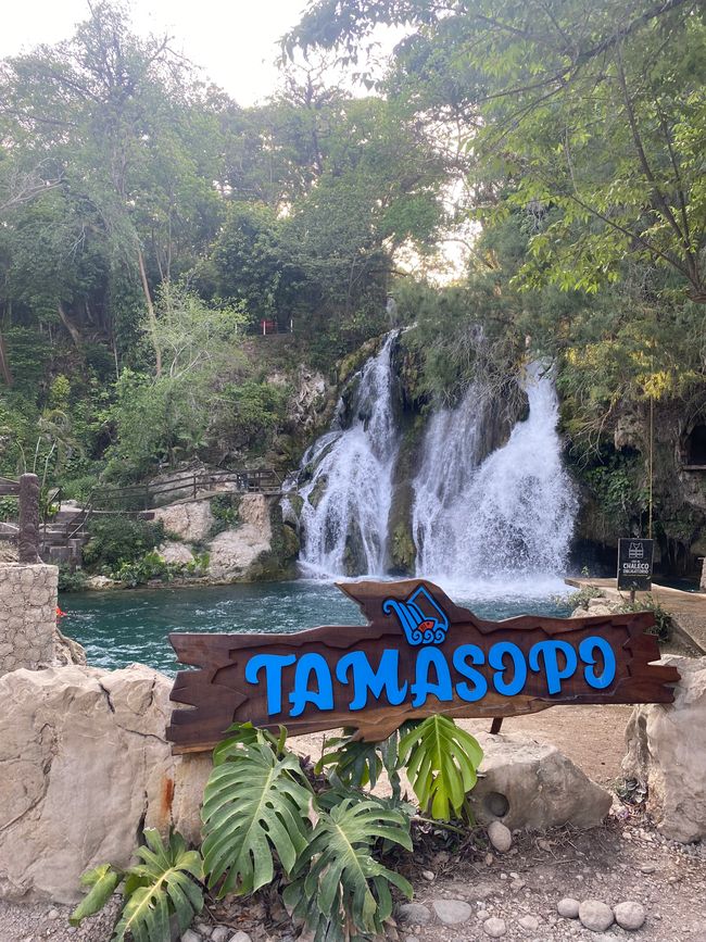 Tamasopo