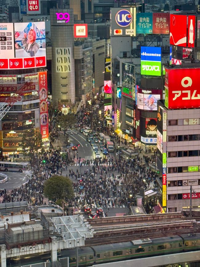 Parte 7
BENVENUTO IN GIAPPONE 🇯🇵
TOKYO