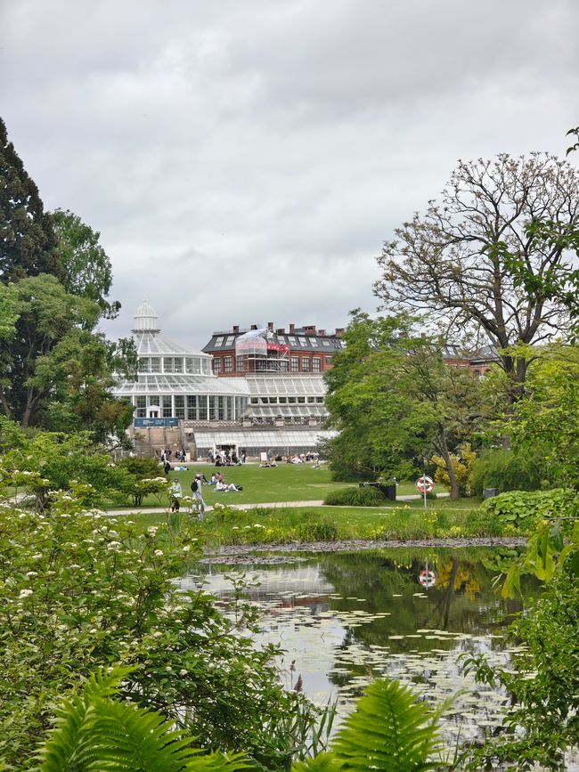Der botanische Garten 