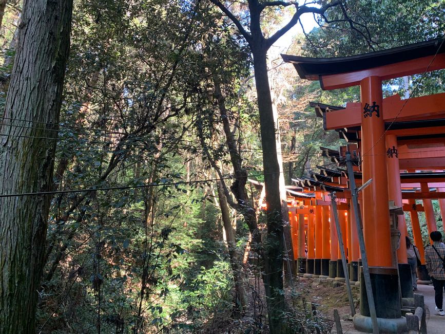 Kyoto