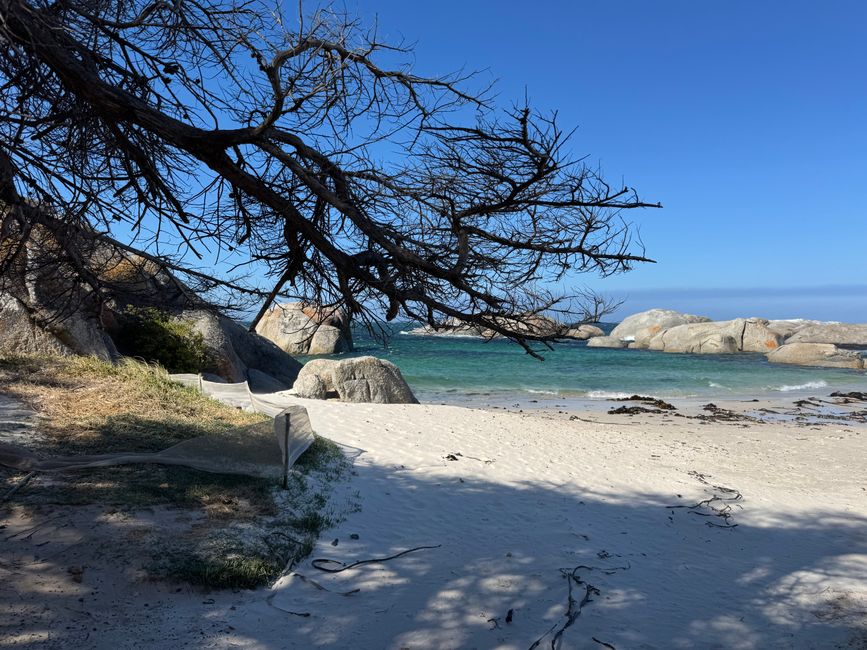 南非🇿🇦第二周