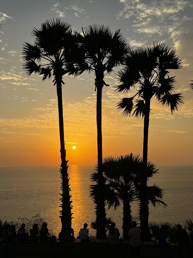 Coconut, sunset and coffee