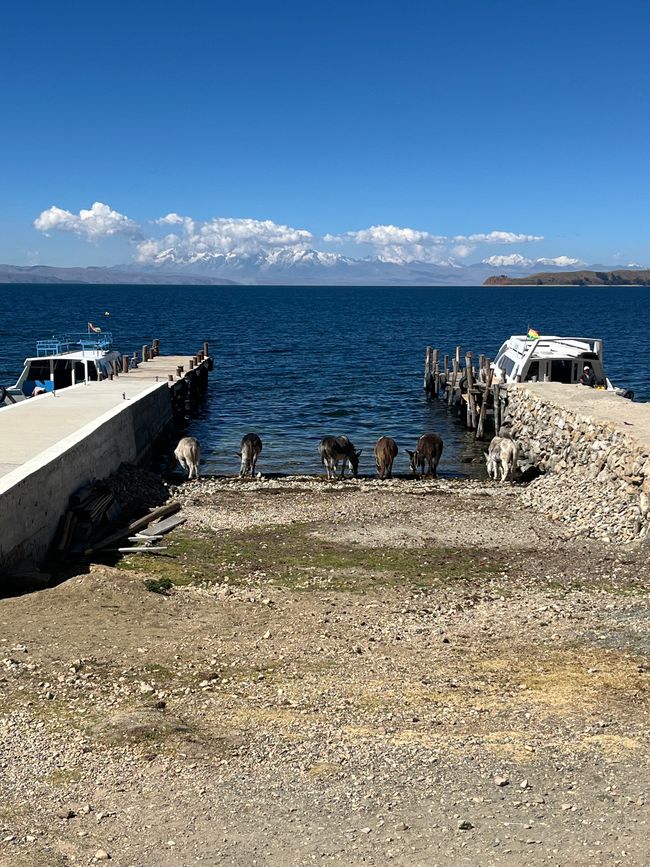 Al porto sud