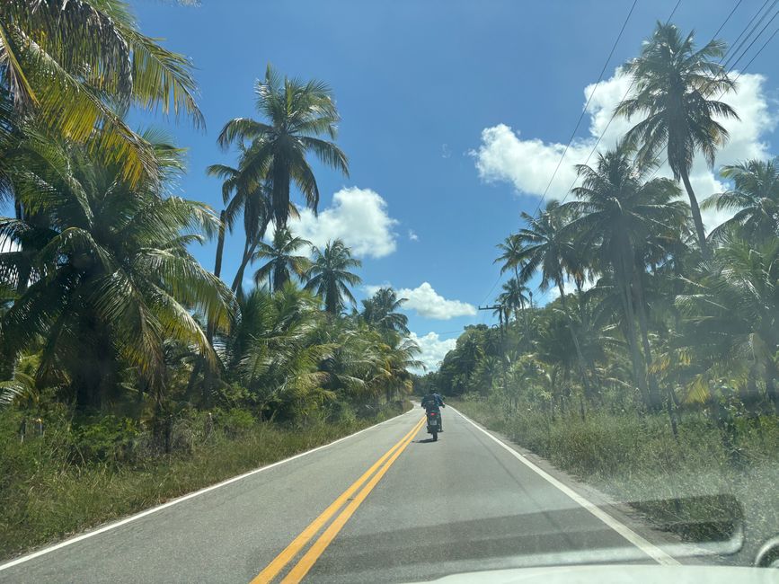 Brasilianische Karibik 