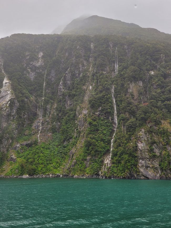Tag 87 von 175: Kreuzfahrt rund um die Welt - Kreuzen im Milford Sound/Neuseeland
