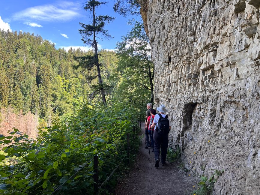 28 Wutachschlucht Pro Wolermoos