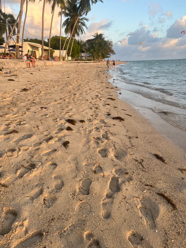 3. Challenge: nicht verzweifeln an der Bürokratie…