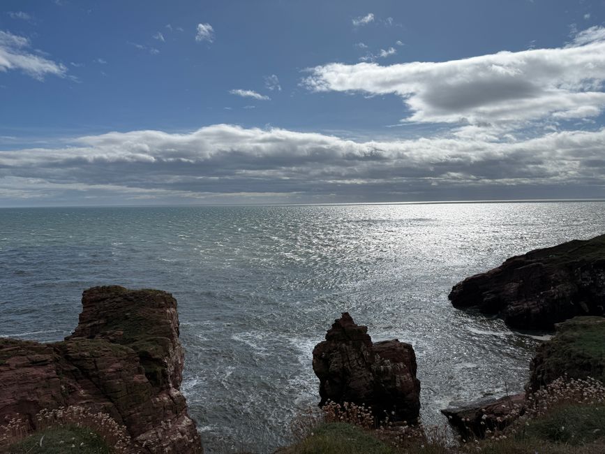 Arbroath, Smokies und Klippen