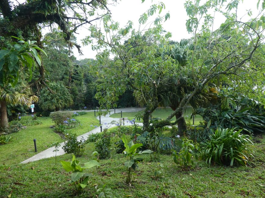 Cloud Forest Lodge hotel complex