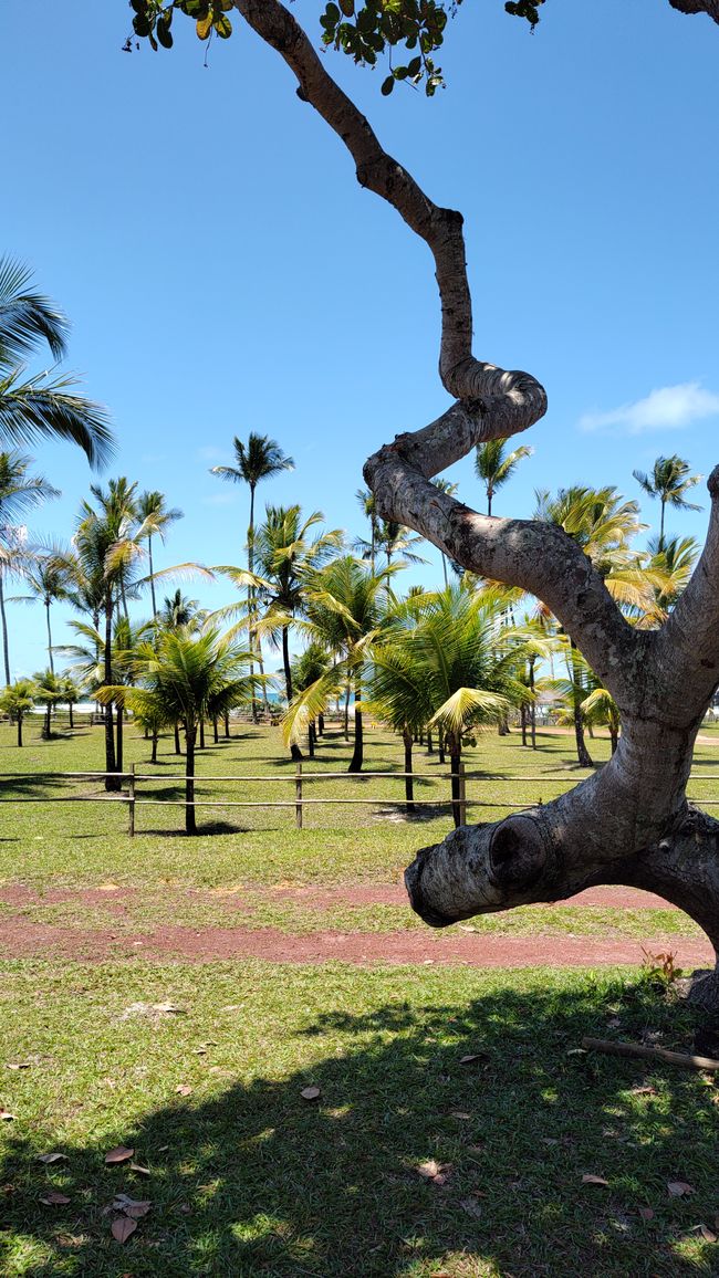 Brasilien, Am Strand mit Freunden