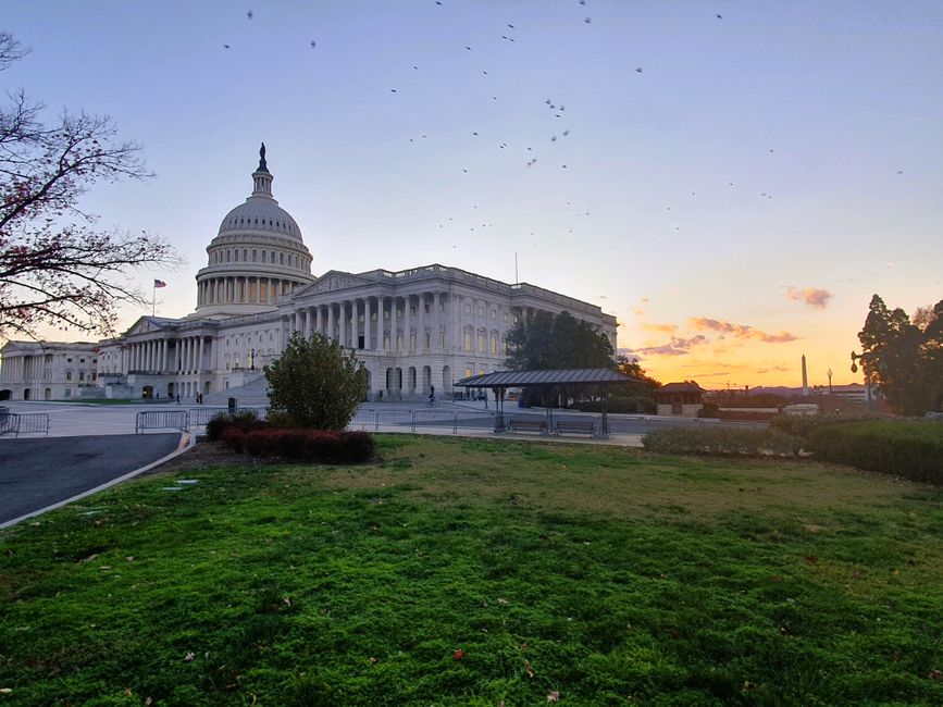 Washington D.C.  Capitol