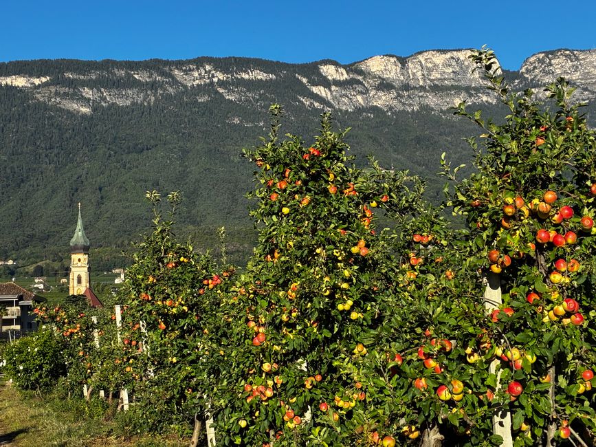 Eppaner Höhenweg