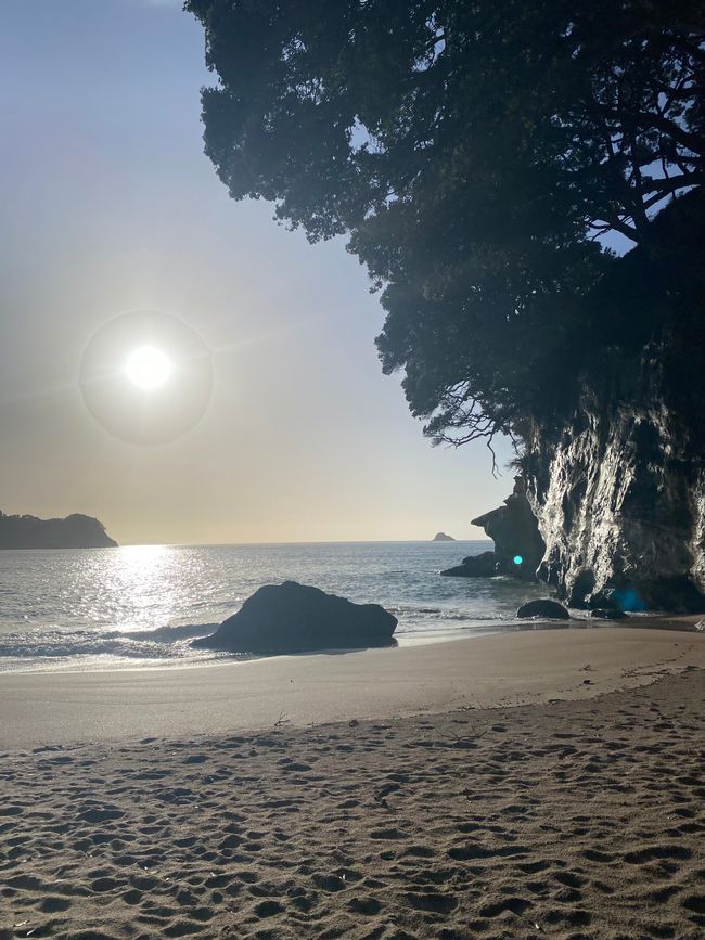 Coromandel loop
