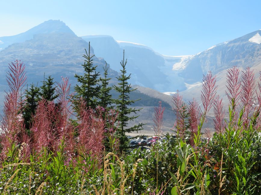 Columbia Icefield