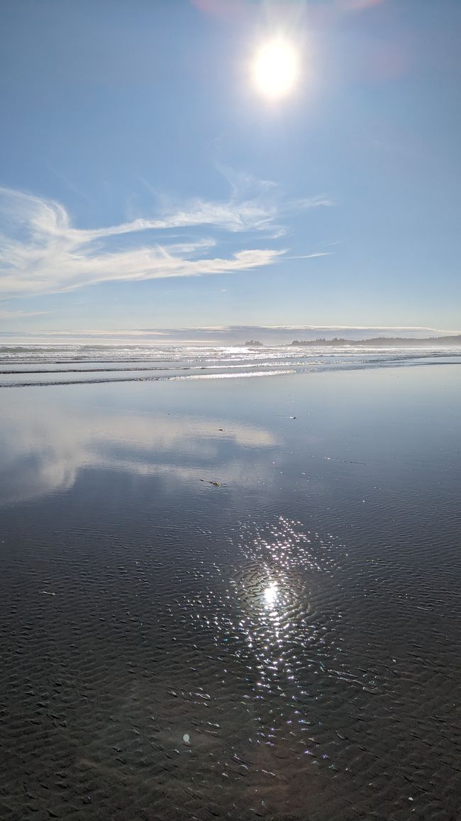 Etiqueta 7: Parque Nacional Pacific Rim - Ucluelet - Tofino