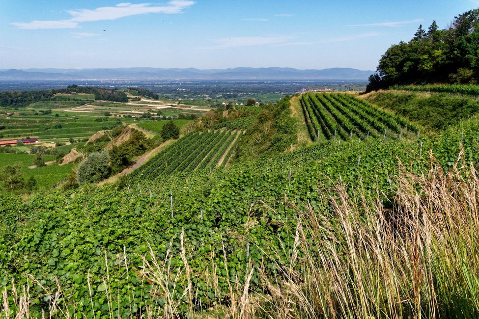Escursione enogastronomica nonostante il caldo