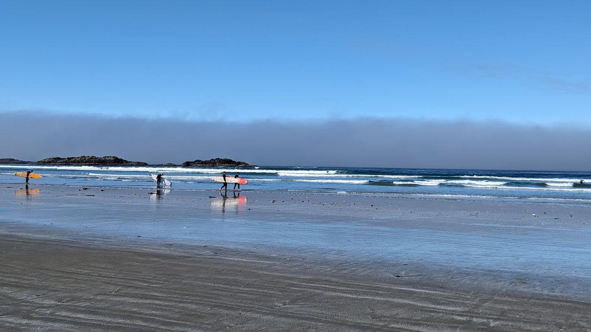 Etiqueta 7: Parque Nacional Pacific Rim - Ucluelet - Tofino