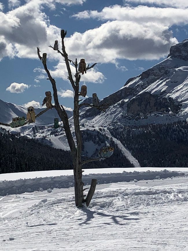 Weitere Eindrücke aus Südtirol 