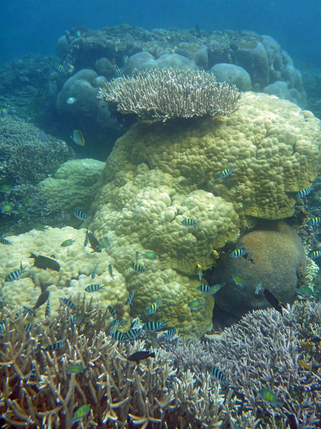 Waiag, Raja Ampat, Indonesia