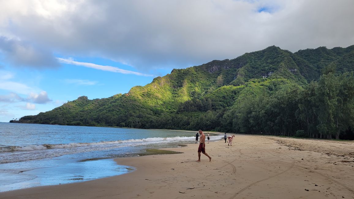 Snorkeling at Sharks Bay and more ...