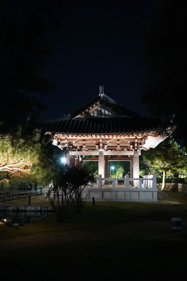 Jardín de luz