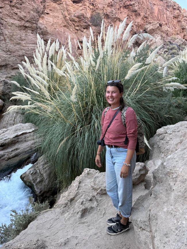 Désert d'Atacama 🦙🦩🌵