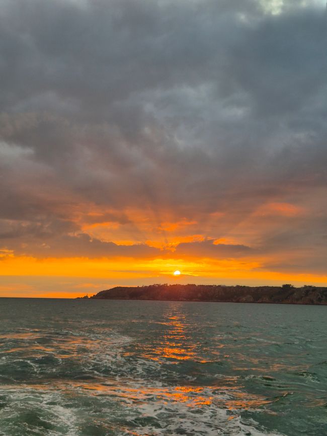 Huîtres 🥟 et le coucher de soleil 🌅
