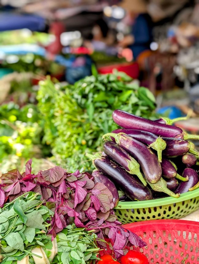 I go with my lantern...